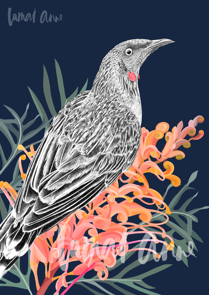 Red Wattle Bird and Grevillea Fine Art Print