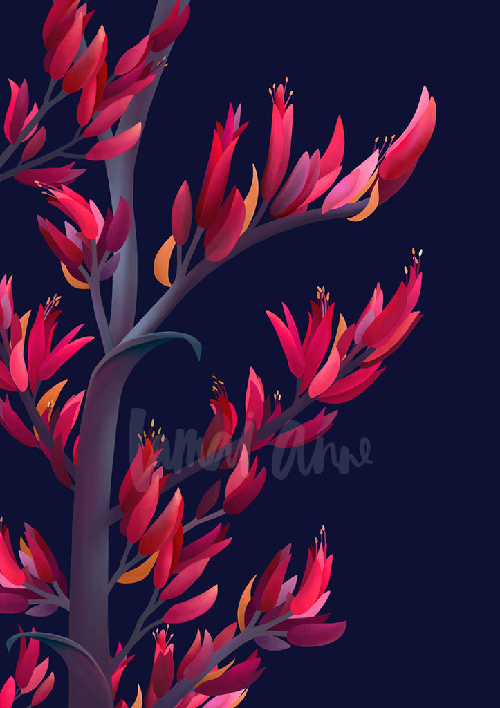 Harakeke New Zealand Flowering Flax Limited Edition Art Print
