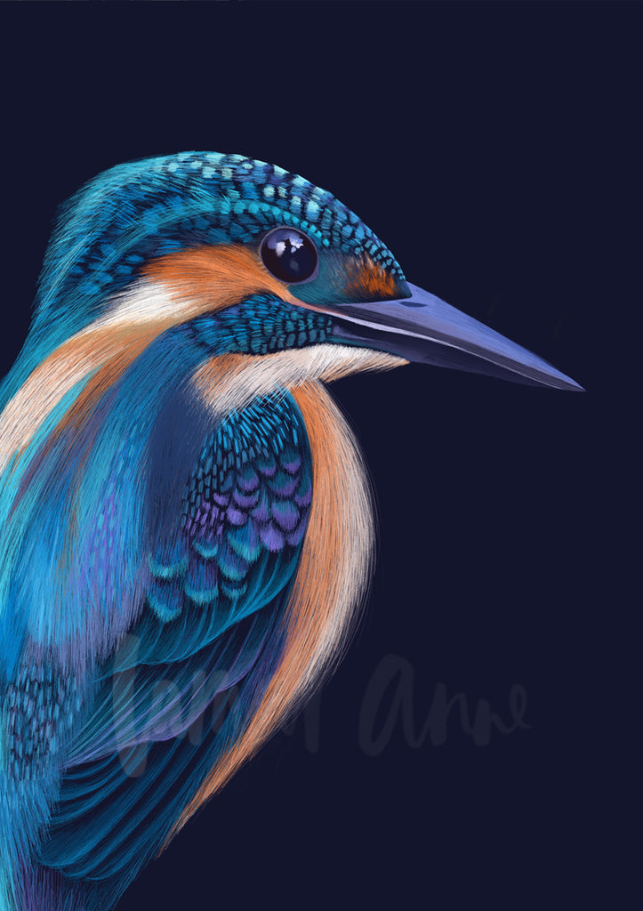 Kingfisher Limited Edition Print