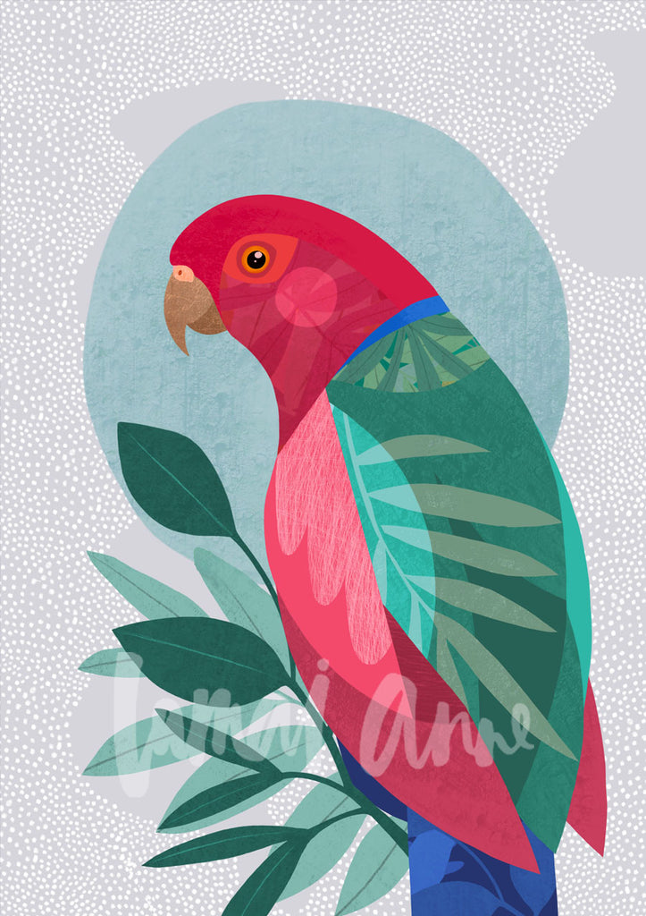 Male King Parrot Fine Art Print