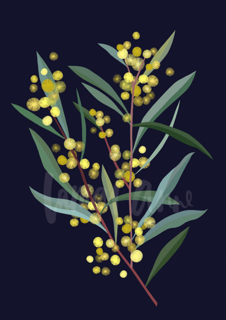 Wattle branch on Navy Limited Edition Print
