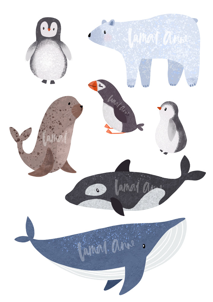 Arctic Animals Clipart Set for Personal and Commercial use