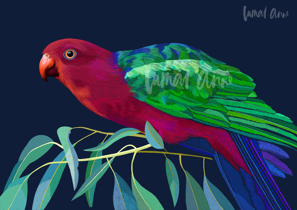 King Parrot in a Gum Tree Fine Art Print