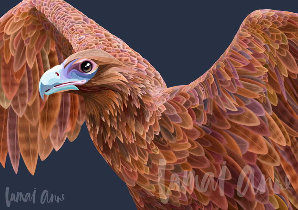 Wedge-Tailed Eagle Fine Art Print
