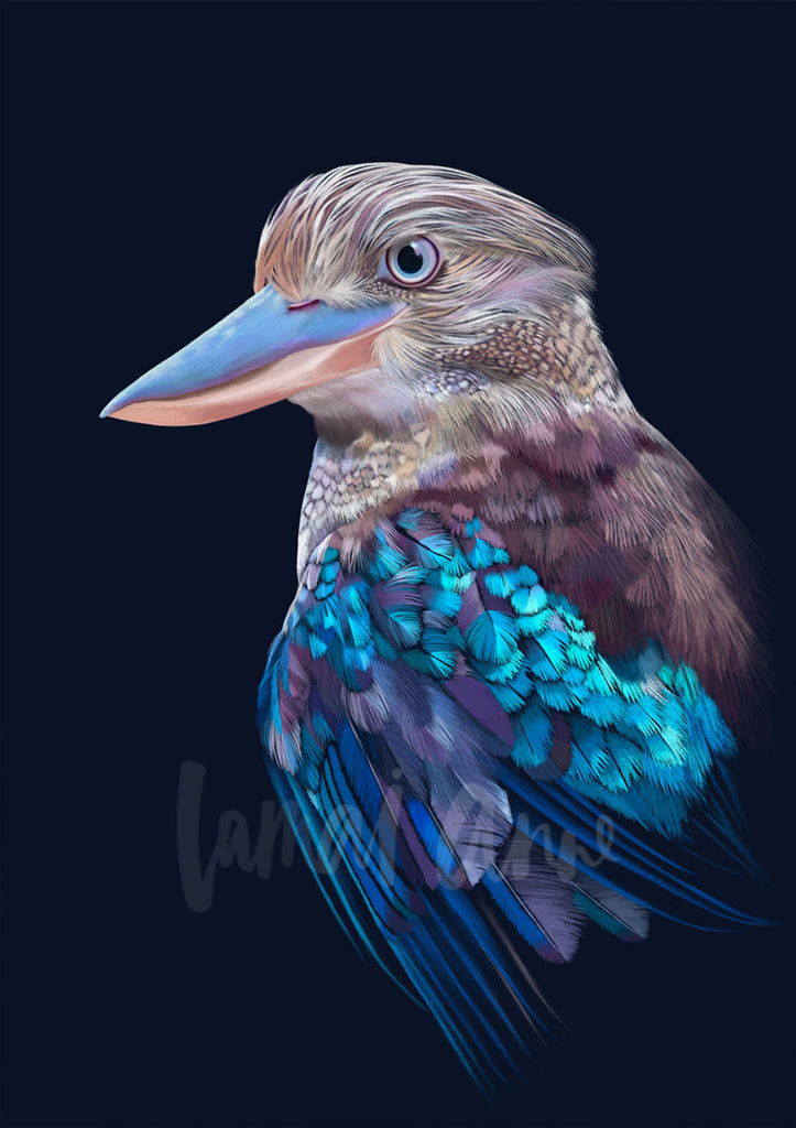 Blue-winged Kookaburra Limited Edition Art Print