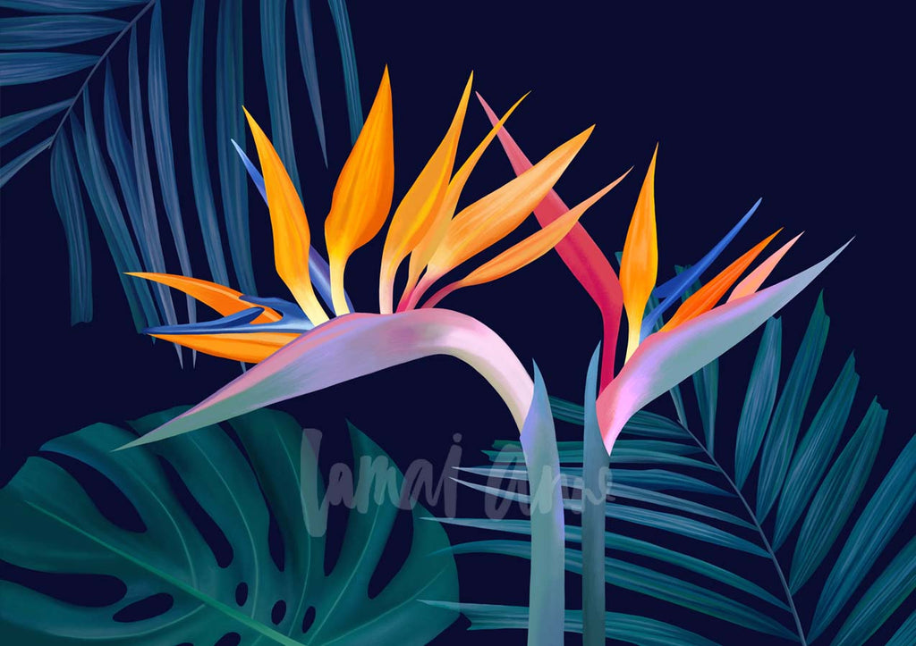 Birds of Paradise Limited Edition Print