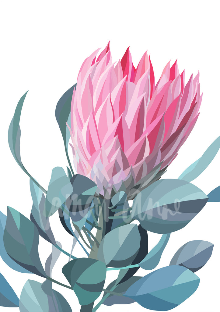 Pink Protea Limited Edition Print